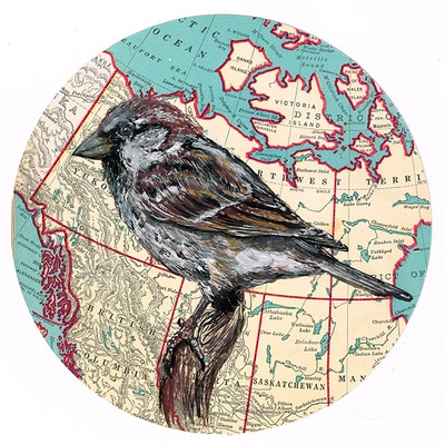 Sold! 
Sparrow alive Canada. ø16,5cm 